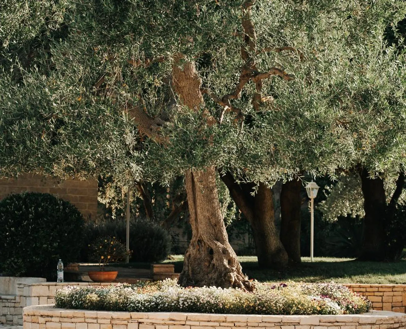 San Marco Antico Relais - B&B Bitonto